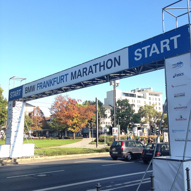 10723678_1557065224513609_1430707724_n